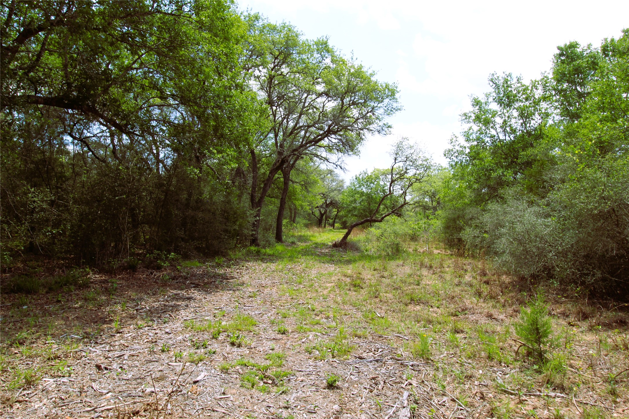 1105 Lakewood Road Sheridan, TX 77475 - Photo 24 of 29