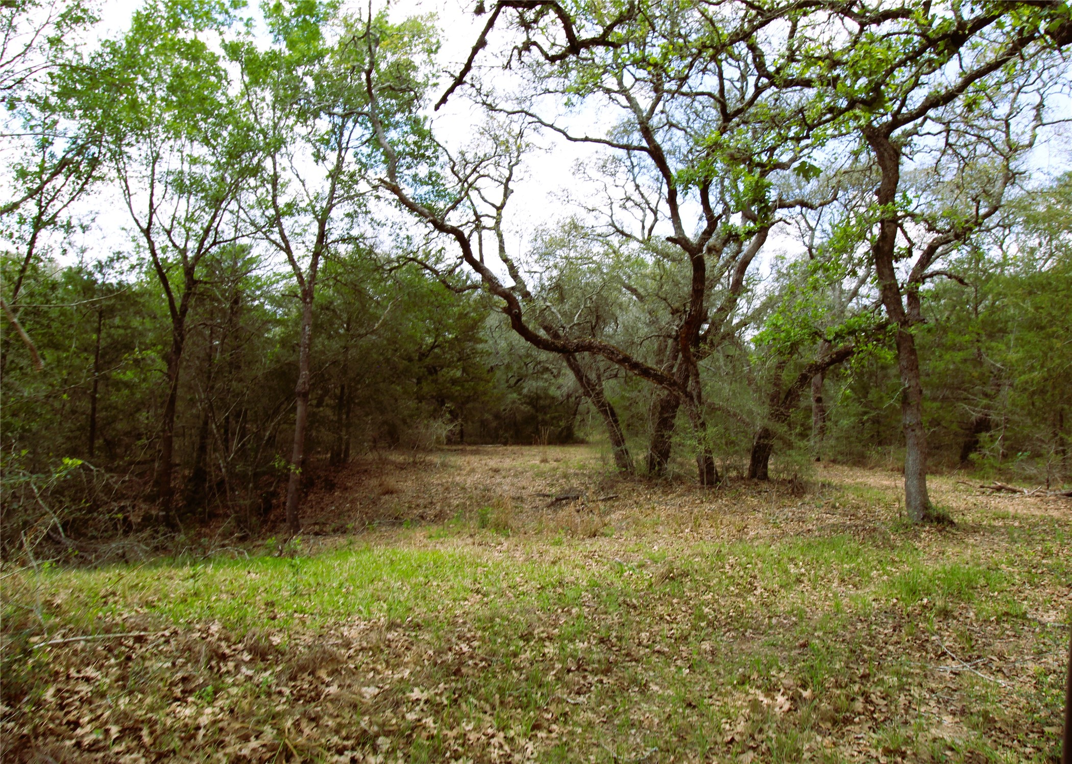 1105 Lakewood Road Sheridan, TX 77475 - Photo 27 of 29