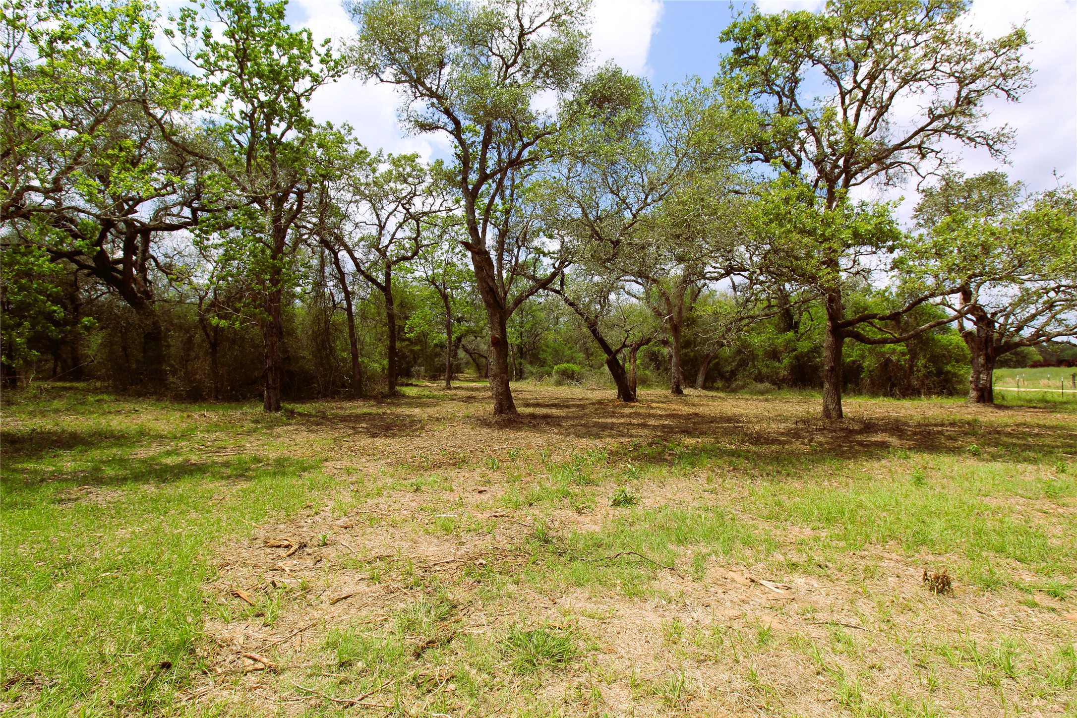 1105 Lakewood Road Sheridan, TX 77475 - Photo 28 of 29