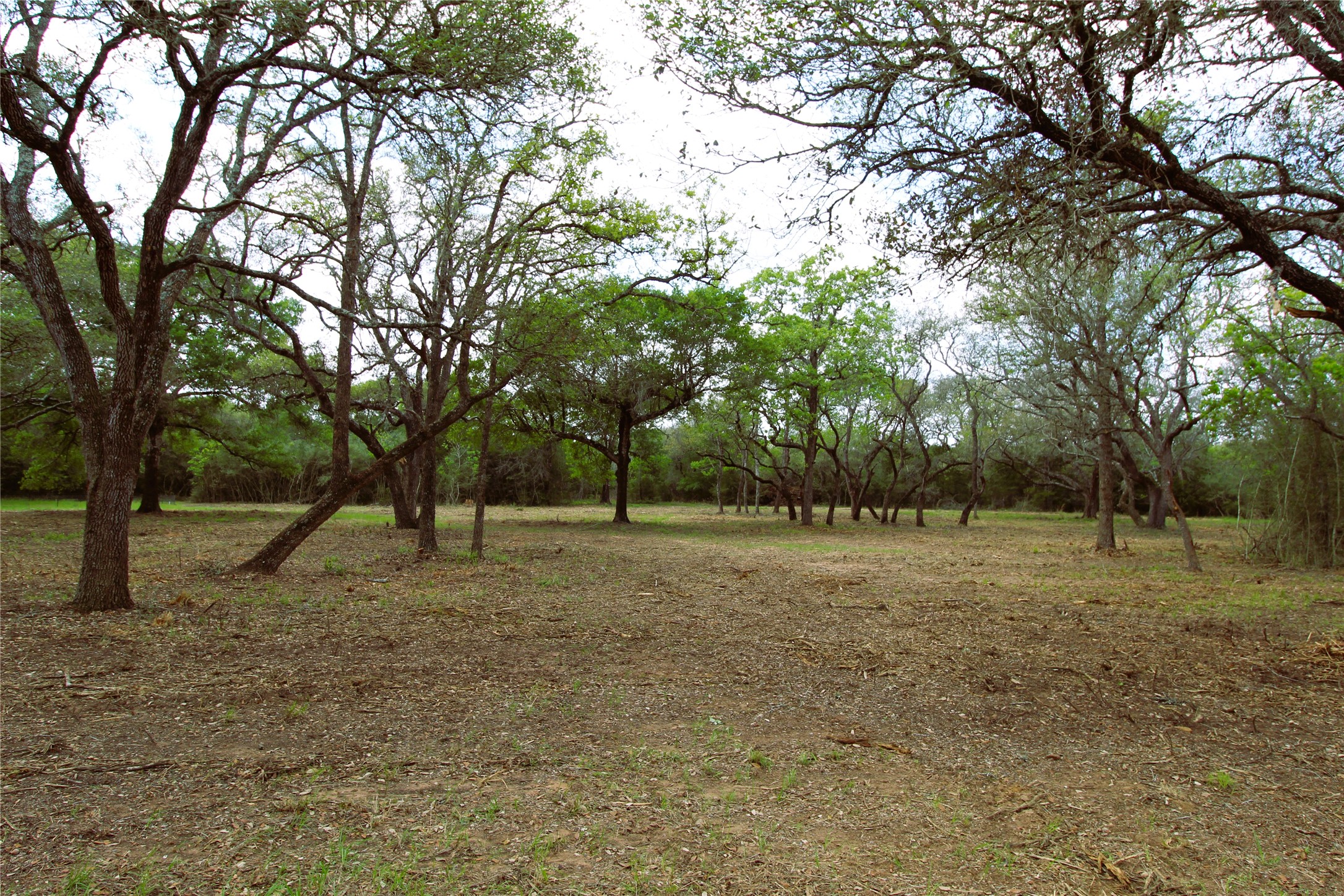 1105 Lakewood Road Sheridan, TX 77475 - Photo 3 of 29