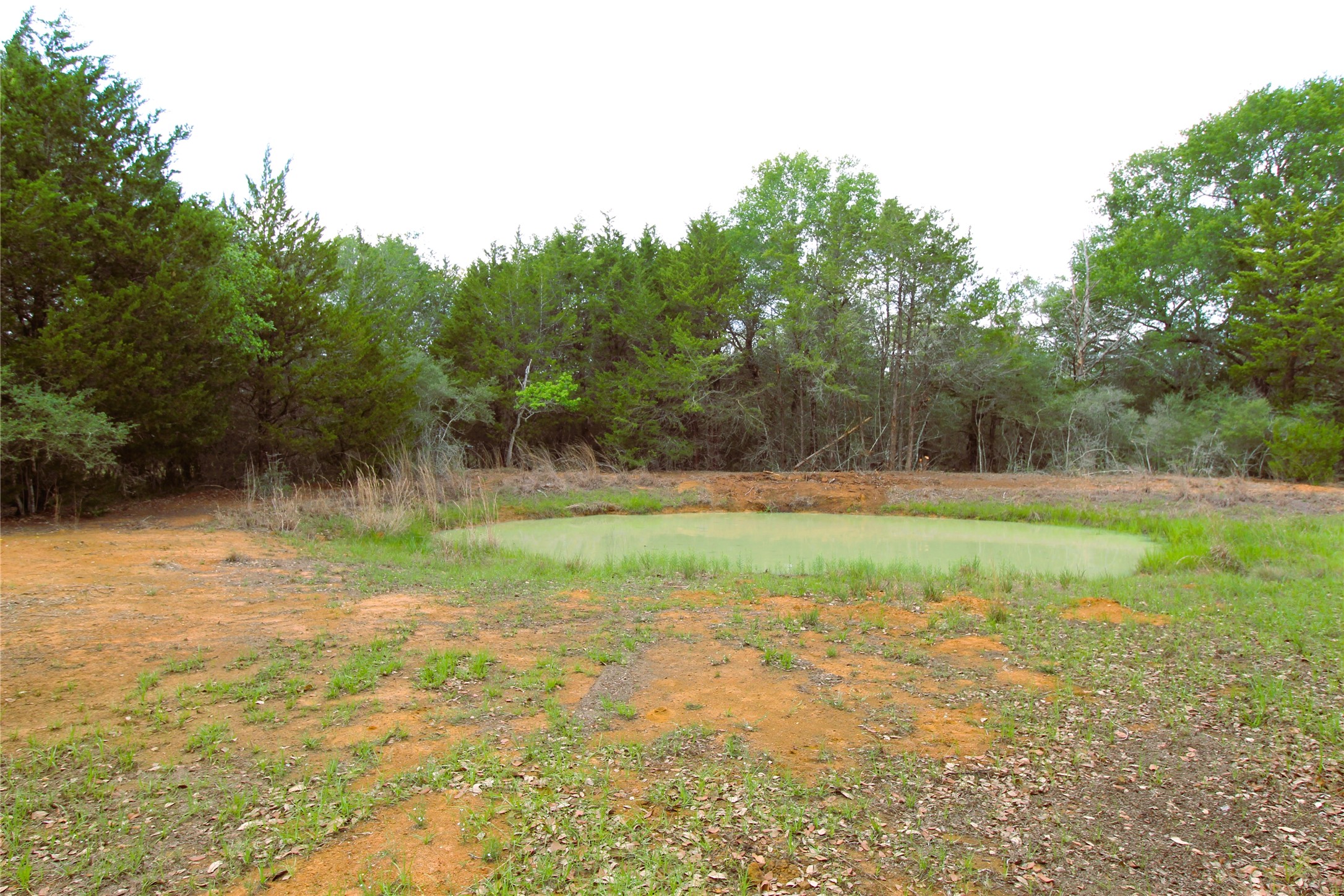 1105 Lakewood Road Sheridan, TX 77475 - Photo 6 of 29