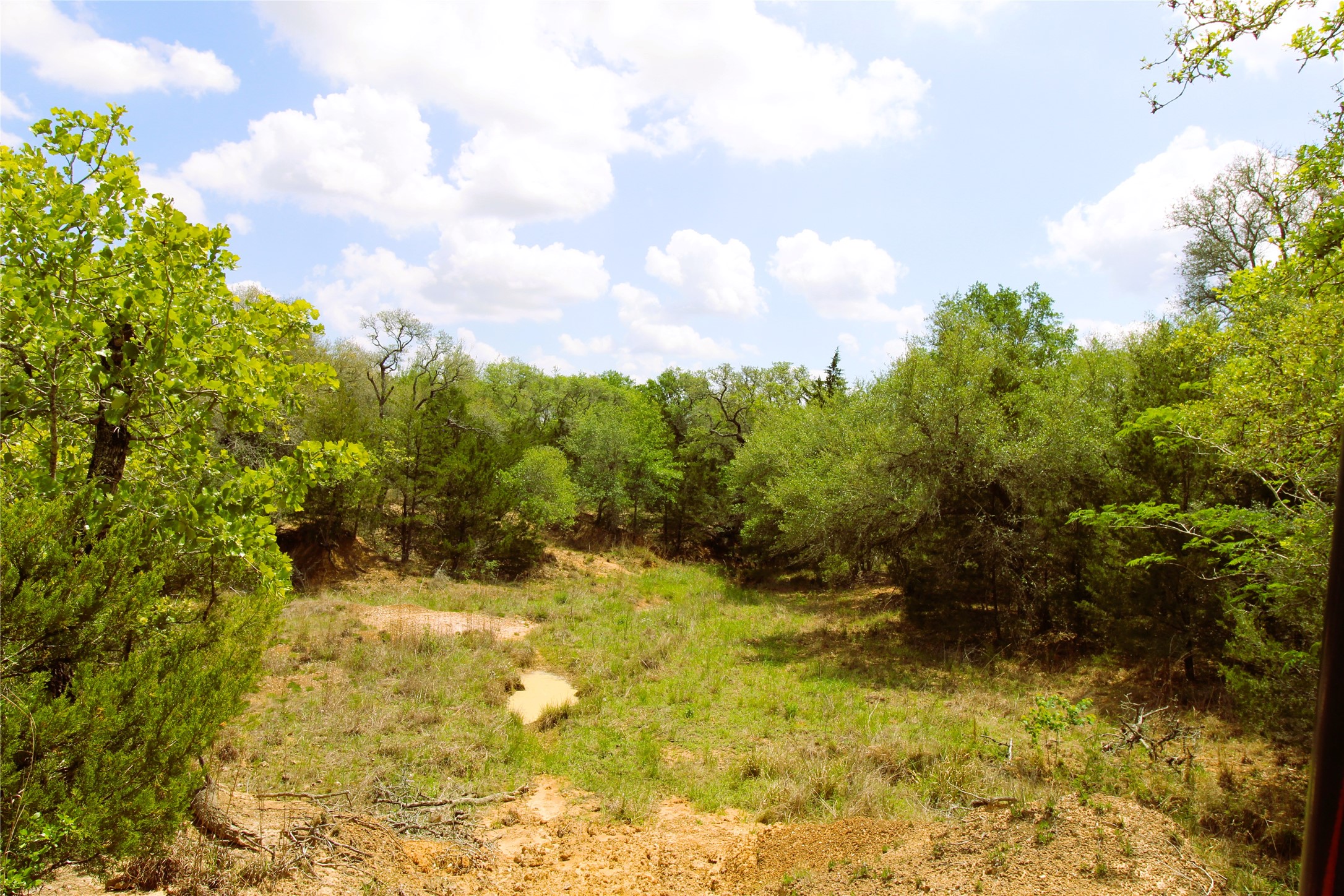 1105 Lakewood Road Sheridan, TX 77475 - Photo 9 of 29