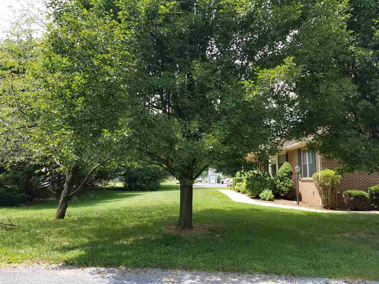 325 North River Road Bridgewater, VA 22812 - Photo 4 of 44 Gallery Image 4