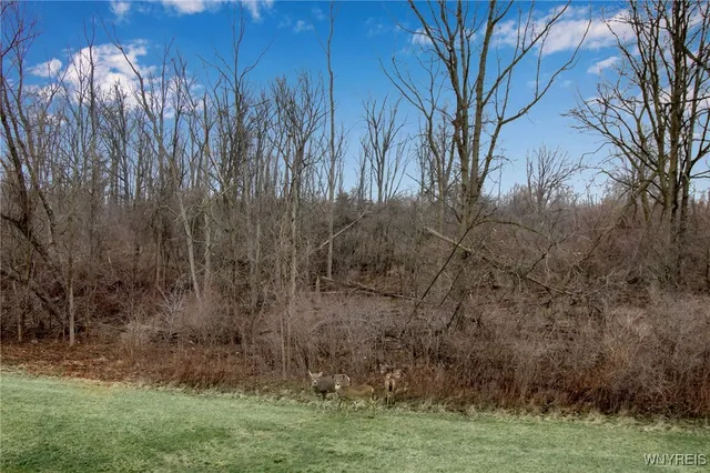 $190,000 | 45 Beehunter Court, Unit D, Amherst, NY 14051