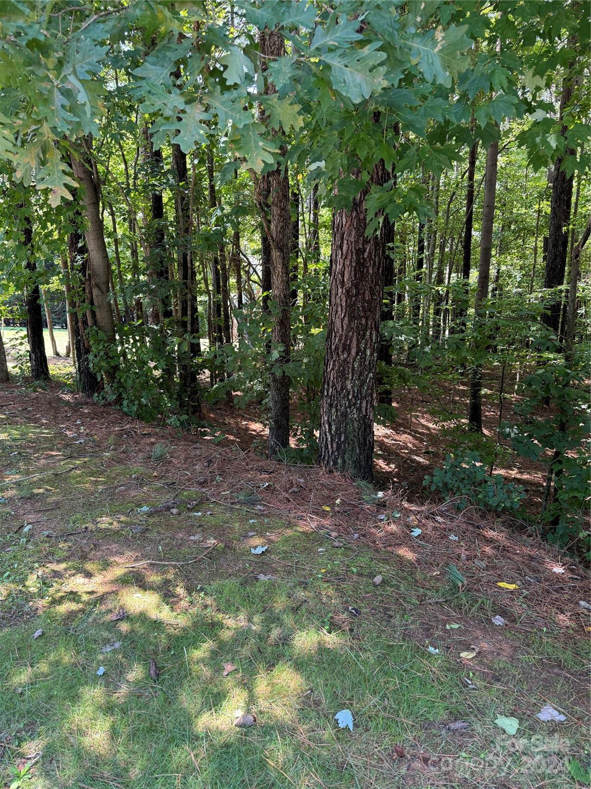 Lot 2 Maiden Salem Road Maiden, NC 28650 - Photo 1 of 2 Gallery Image 1