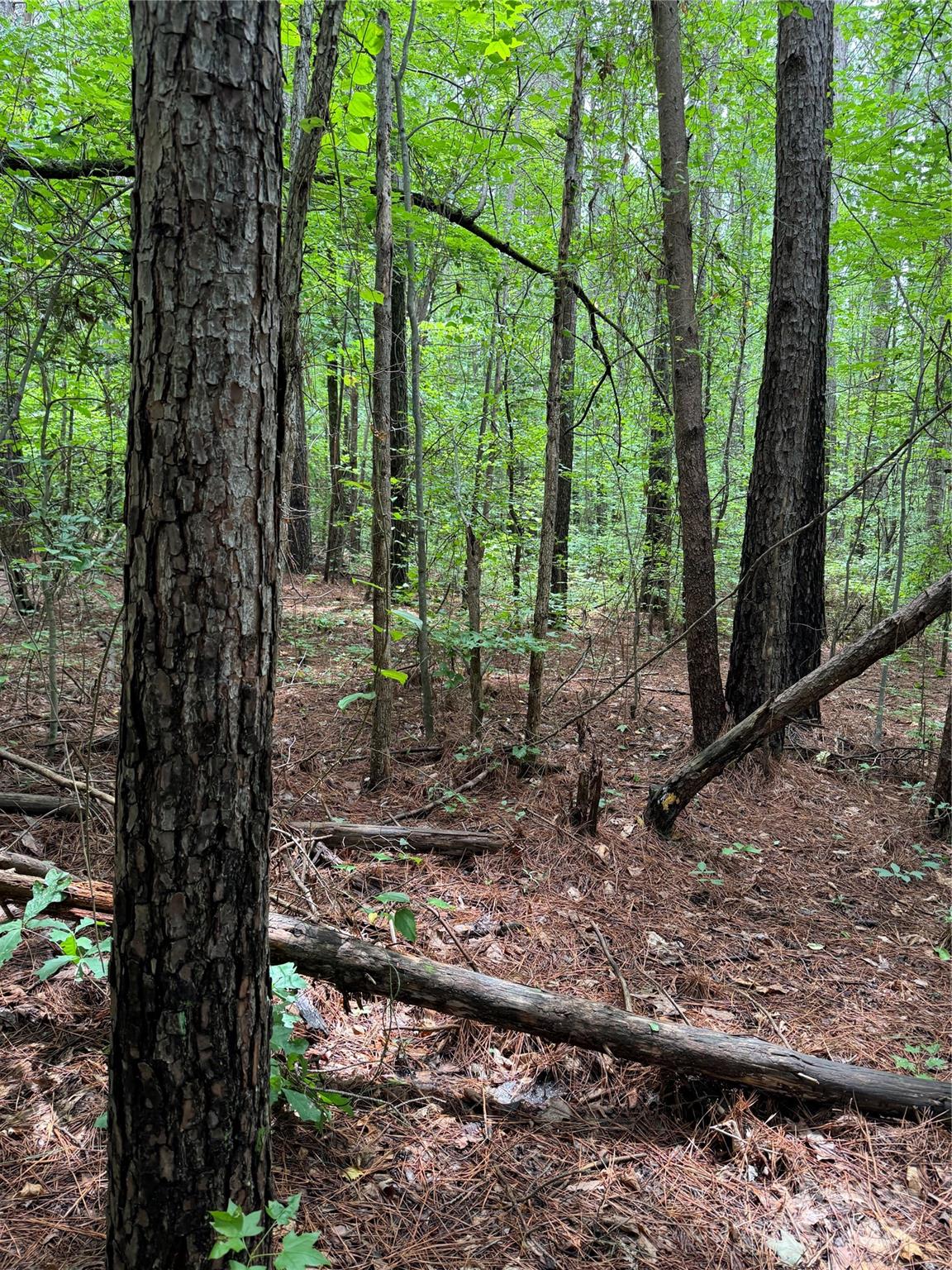 Lot 2 Maiden Salem Road Maiden, NC 28650 - Photo 2 of 2 Gallery Image 2