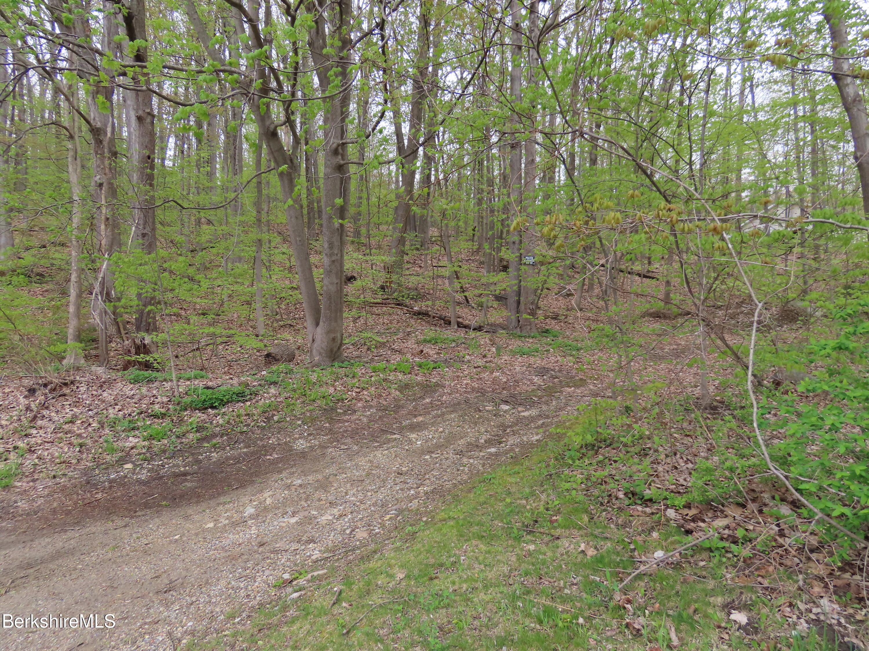 70 Frederick Street North Adams, MA 01247 - Photo 3 of 37 a view of a forest with trees in the background