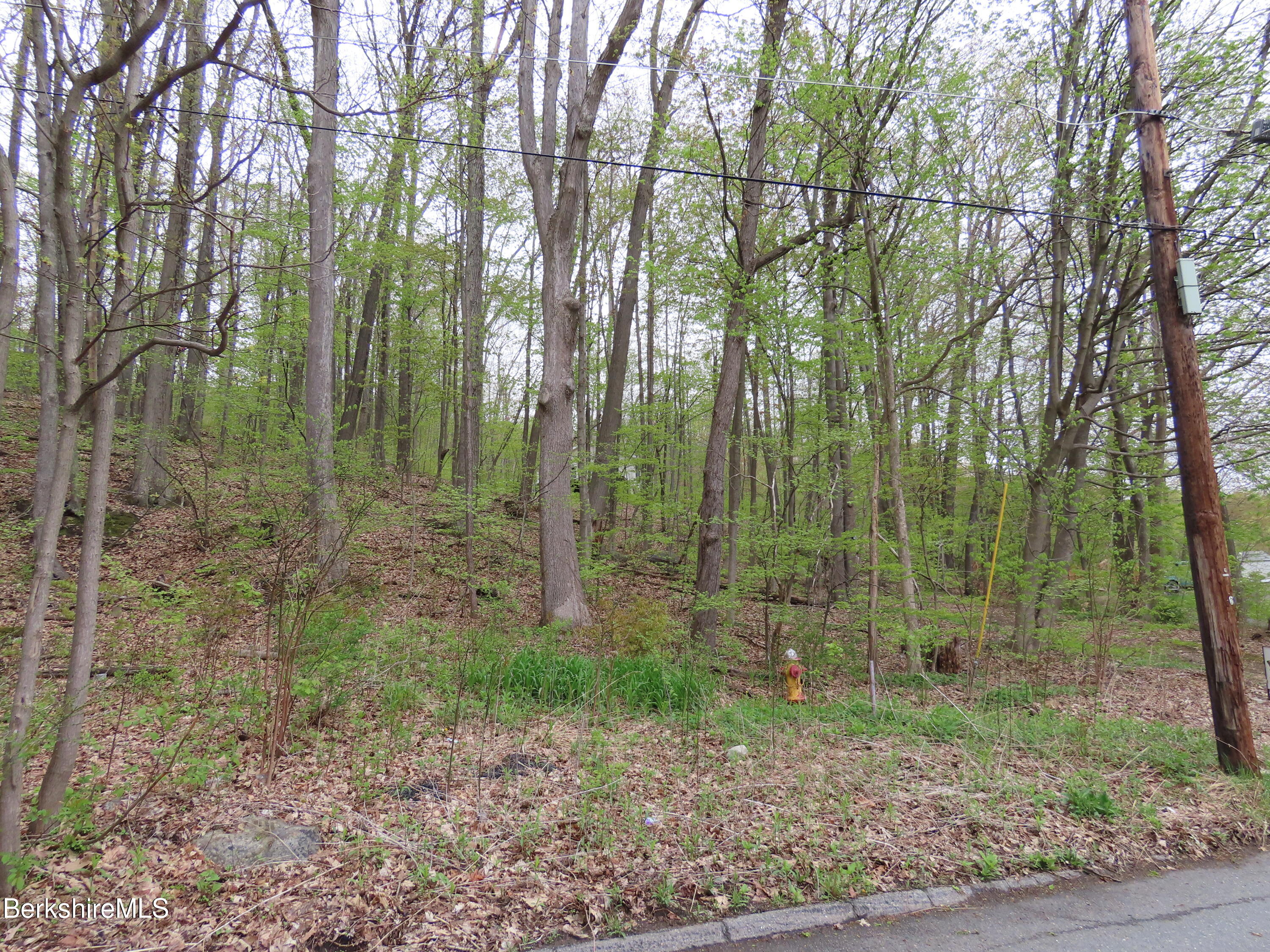 70 Frederick Street North Adams, MA 01247 - Photo 35 of 37 a view of a forest with a trees