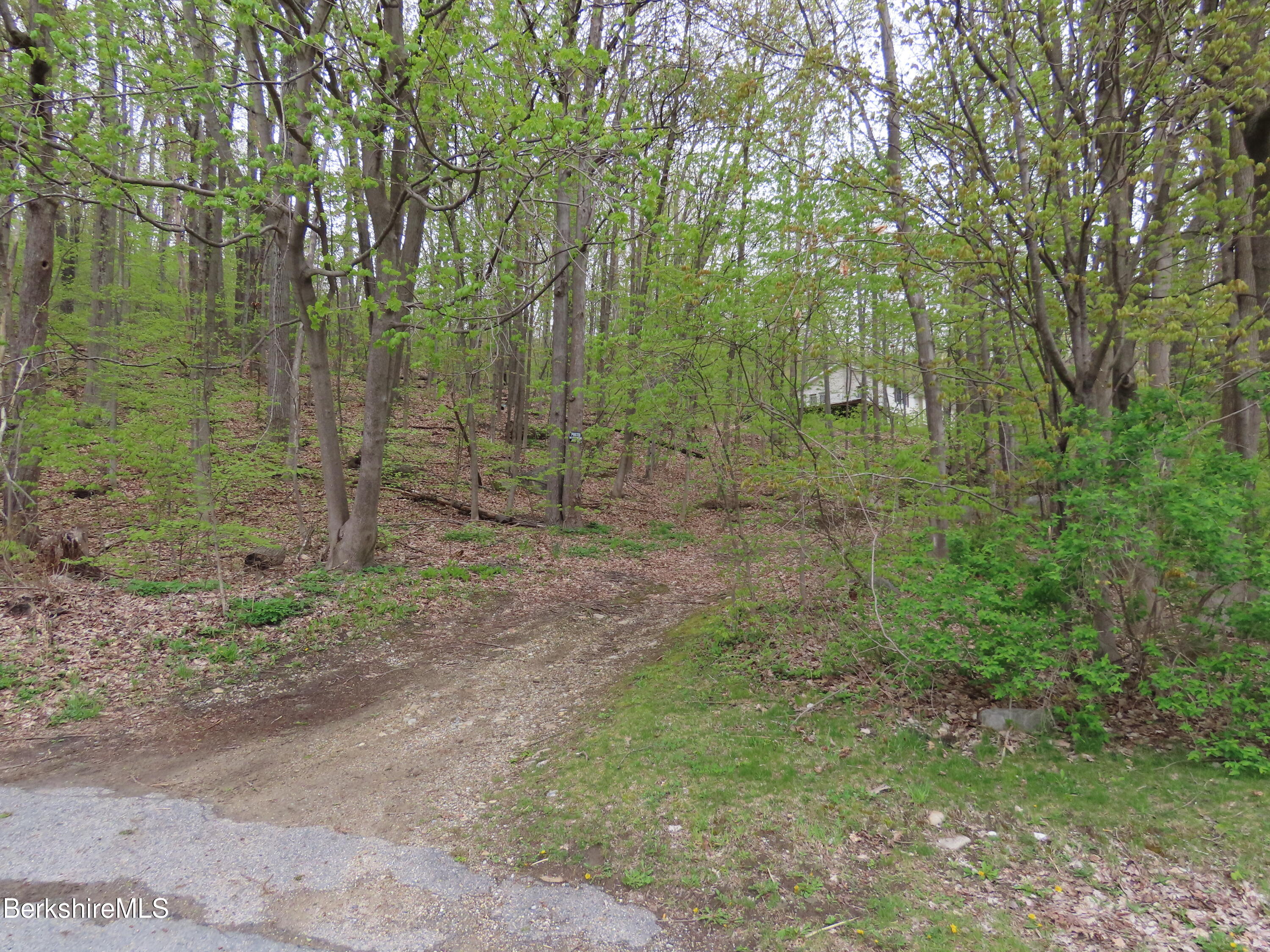 70 Frederick Street North Adams, MA 01247 - Photo 37 of 37 a view of a forest with trees in the background