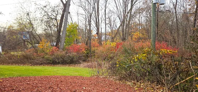 a view of backyard with swimming pool and green space
