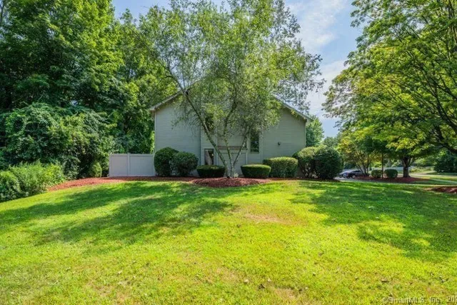 a backyard of a house with plants and large tree