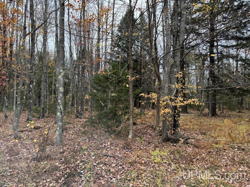 14043 Roland Lake Road Skanee, MI 49962 - Photo 39 of 40 Gallery Image 39