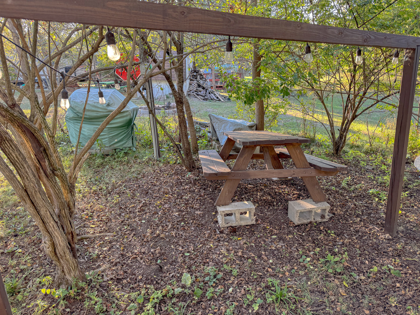 9-46 Woodhaven Sublette, IL 61367 - Photo 5 of 18 a bench is sitting in middle of the forest