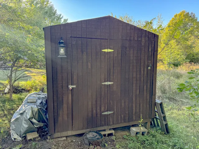 a view of a forest with trees