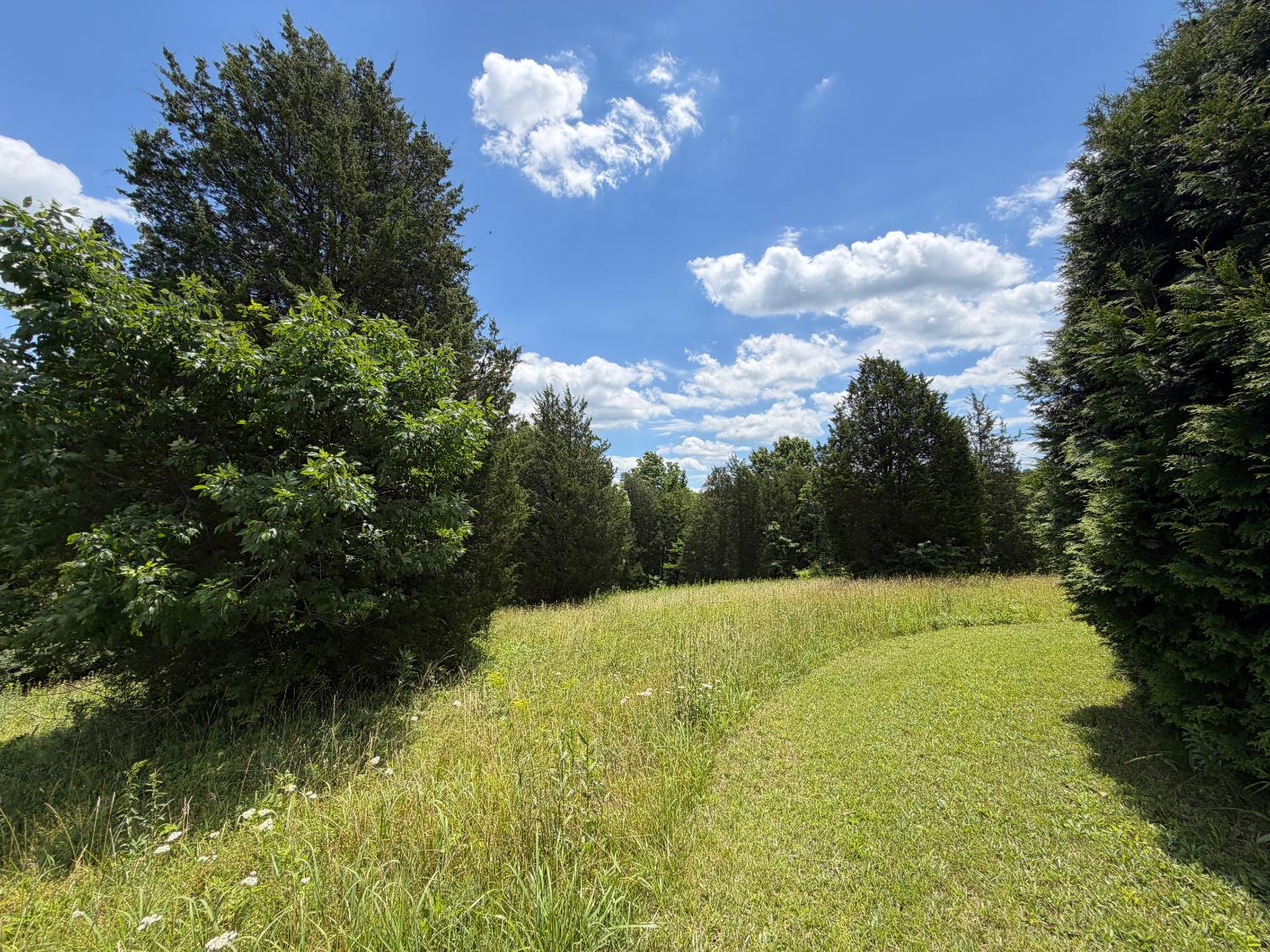 9626 Werner Road Cross Plains, IN 47017 - Photo 47 of 55