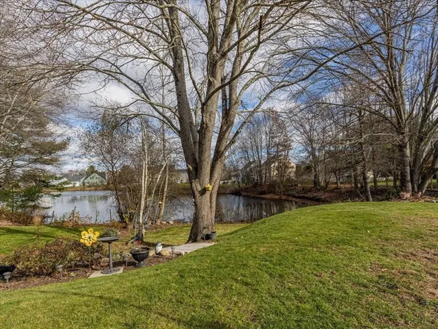 a view of backyard with tree