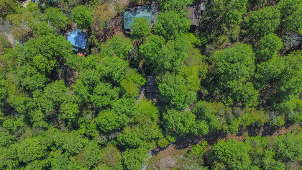 1213 Mountain Oak Road Ellijay, GA 30536 - Photo 54 of 65 an aerial view of residential house with outdoor space and trees all around