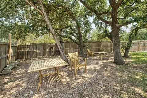 a view of a yard with plants and large trees