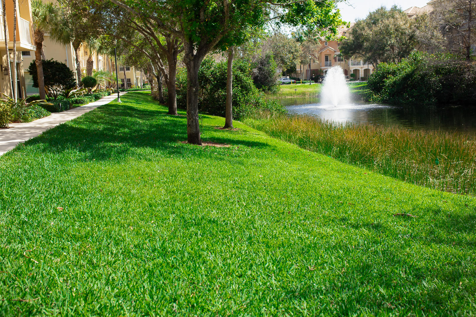 1272 Via Fiume Boynton Beach, FL 33426 - Photo 45 of 51 a view of a lake with a yard and large trees