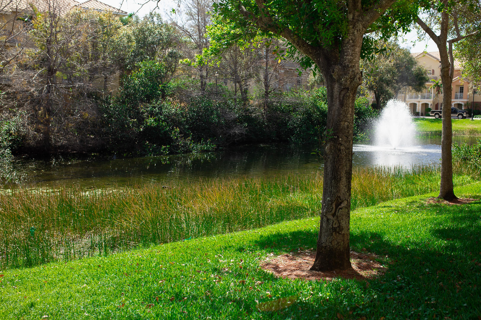 1272 Via Fiume Boynton Beach, FL 33426 - Photo 46 of 51 a view of a lake with a yard