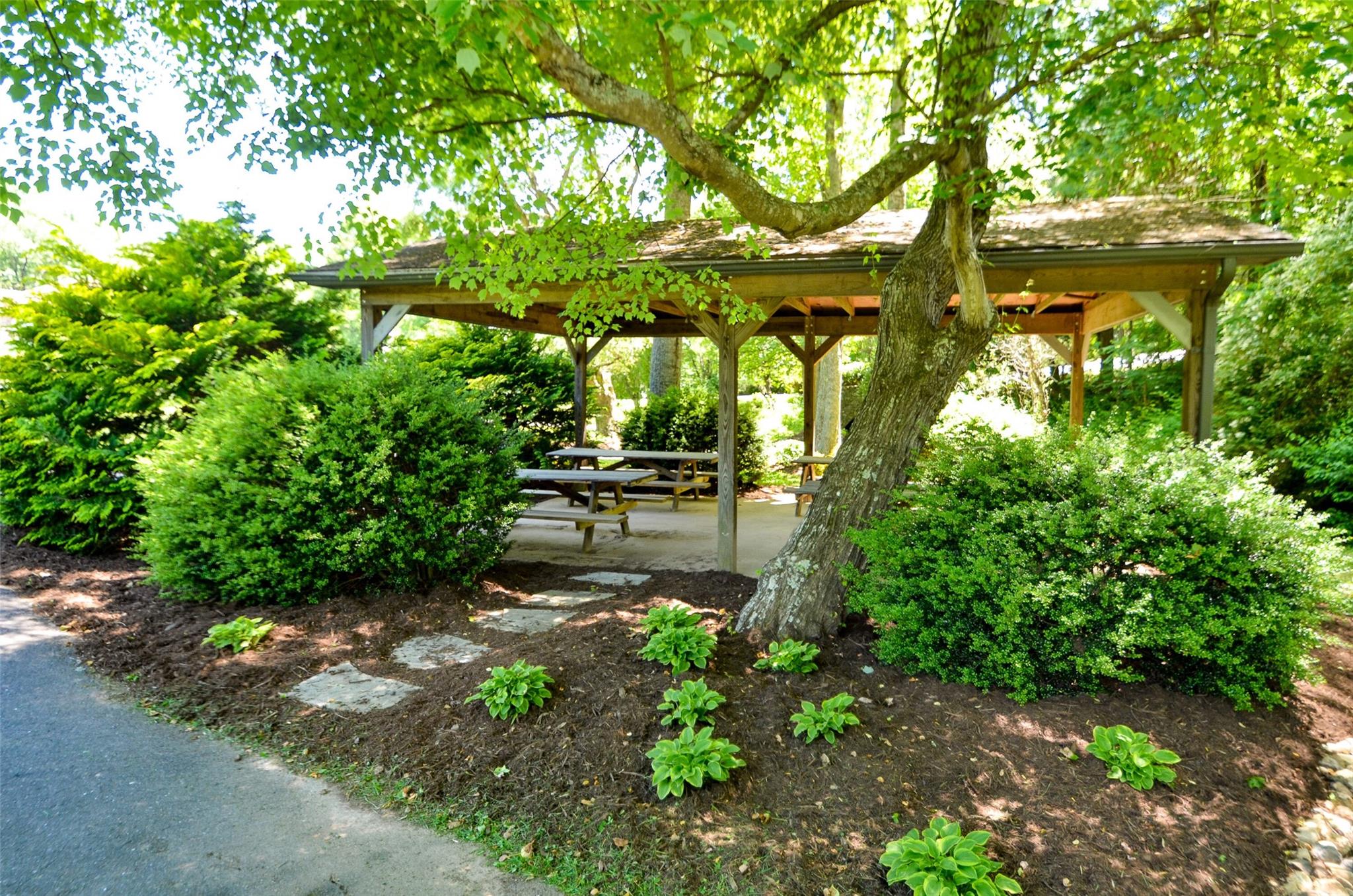209 Riva Ridge Drive Fairview, NC 28730 - Photo 21 of 23 a backyard of a house with lots of green space