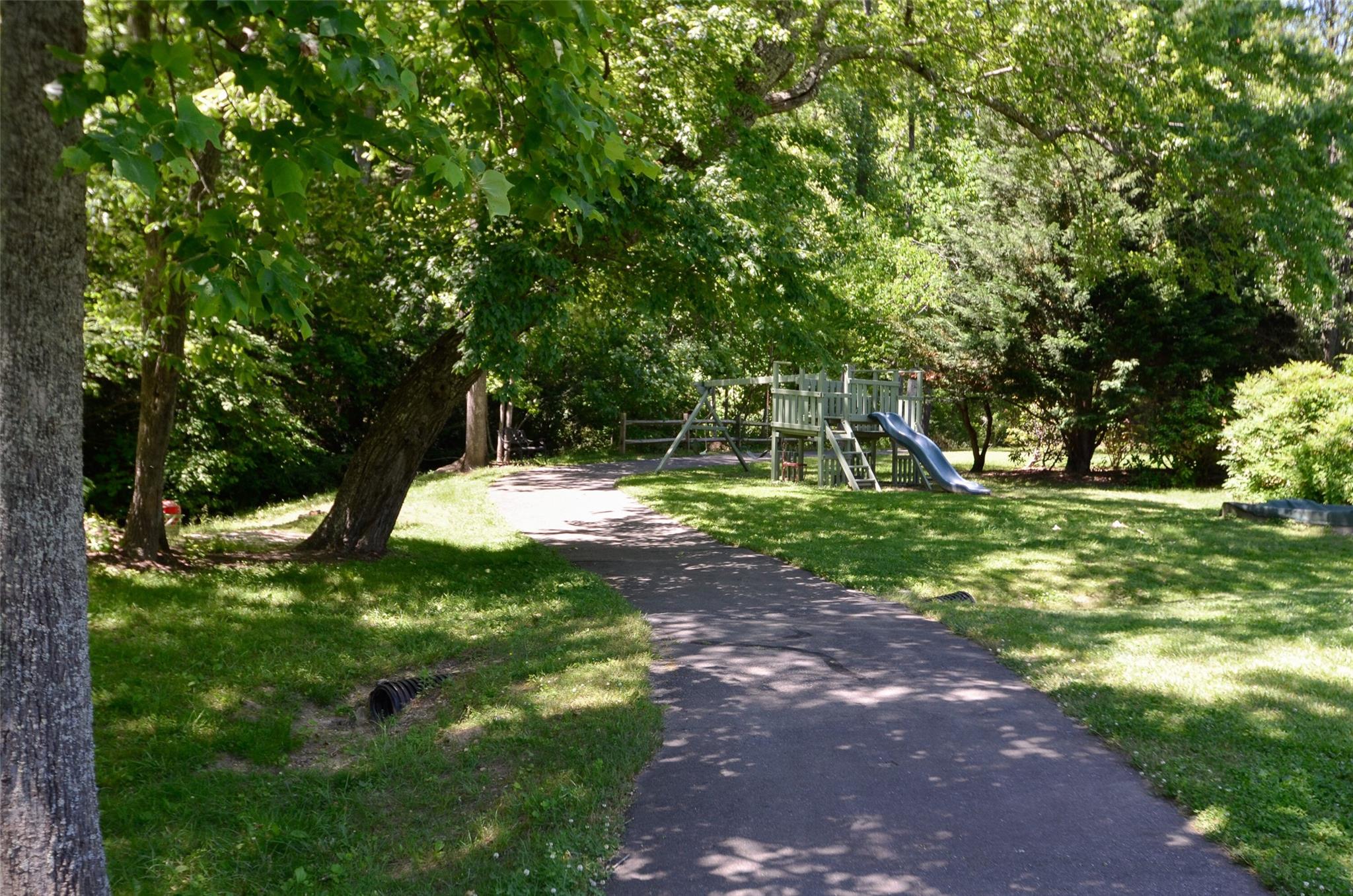 209 Riva Ridge Drive Fairview, NC 28730 - Photo 22 of 23 a view of a tree in a yard with a trees