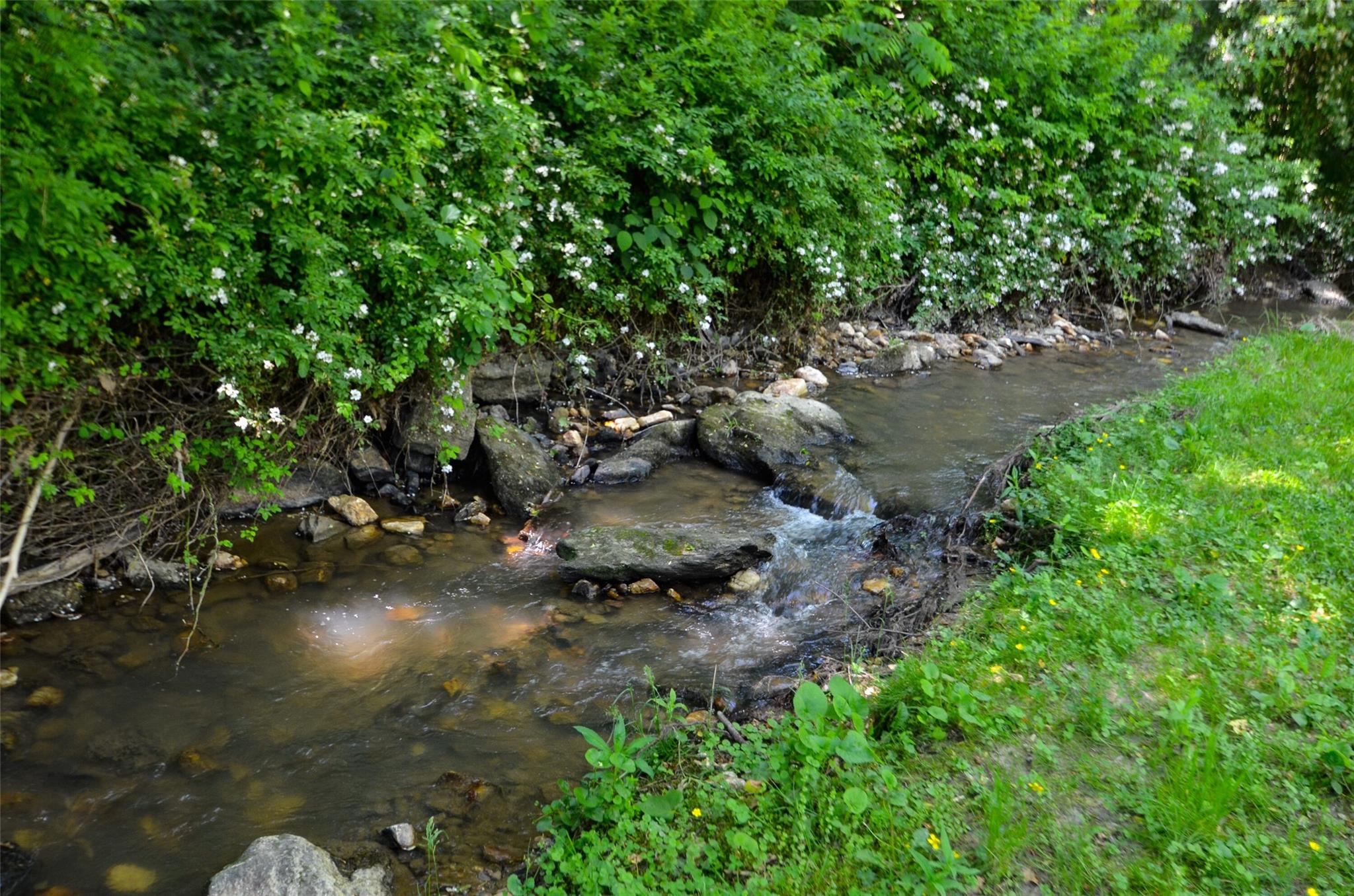 209 Riva Ridge Drive Fairview, NC 28730 - Photo 23 of 23