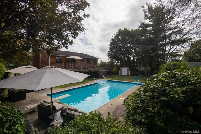 a view of a swimming pool with a yard