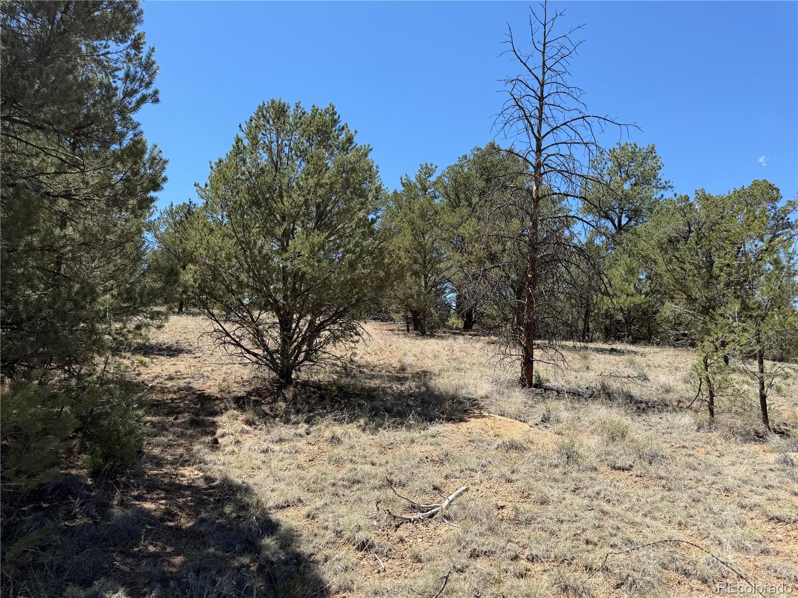 520 West View Road Cotopaxi, CO 81223 - Photo 11 of 28 Gallery Image 11