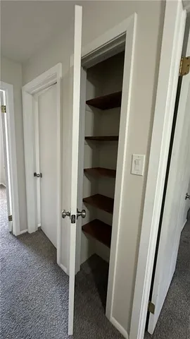 a view of closet area with empty racks