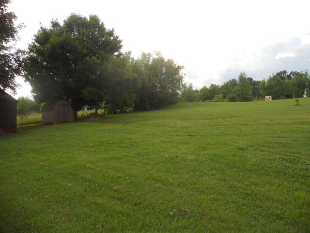 BACK YARD (3)