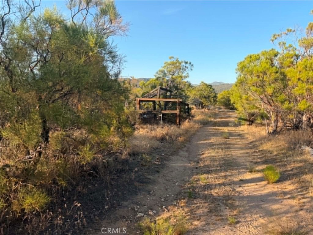 8 Burnt Valley Road Anza, CA 92539 - Photo 10 of 10