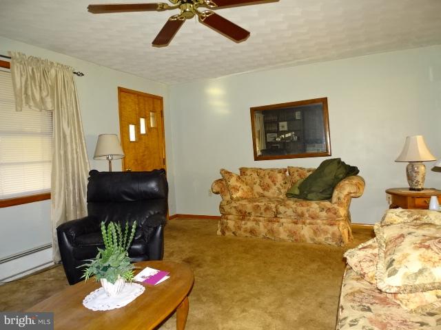 2281 Blackberry Road Dover, PA 17315 - Photo 11 of 29 a living room with furniture potted plant and a fireplace