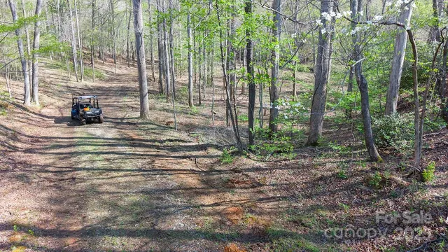 a view of a yard with trees