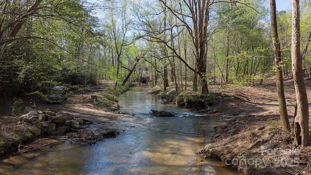 a view of a forest with a lake