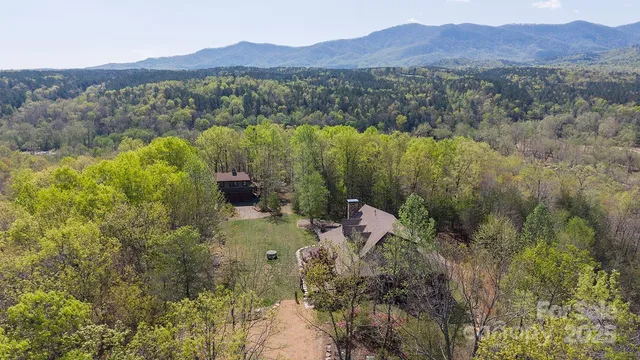 a view of a forest with a houses