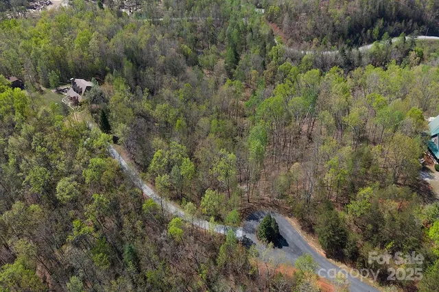 a view of a lake with a mountain in the background