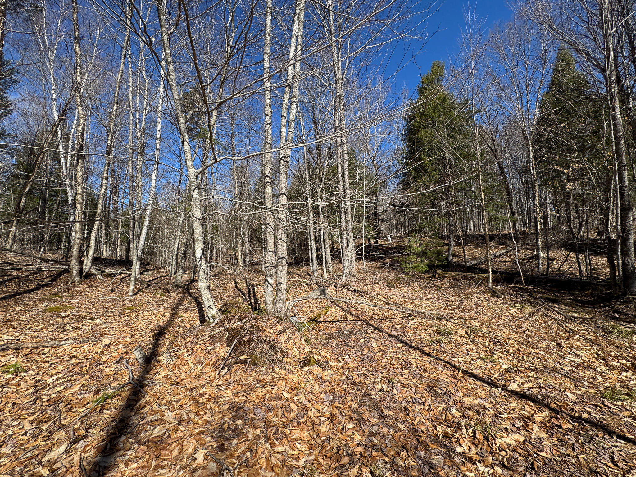 792 Valley Road Anson, ME 04911 - Photo 21 of 30 IMG_3884