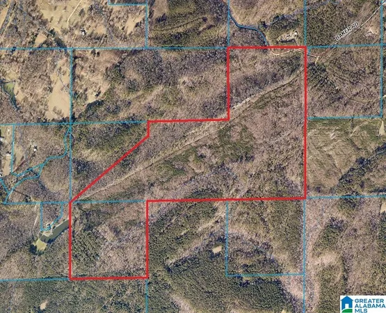 $795,000 | 0 Baker Road, Ashville, AL 35953