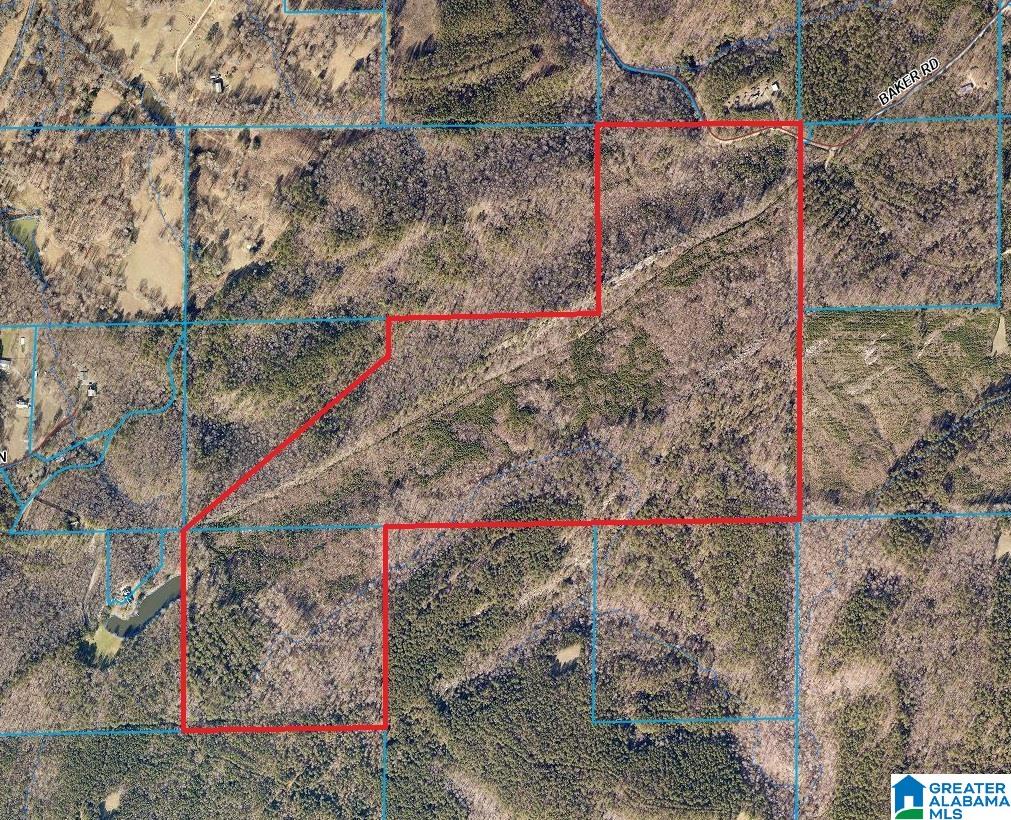 0 Baker Road Ashville, AL 35953 - Photo 1 of 4