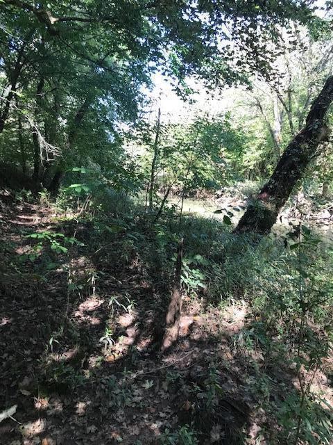 23 Athens Road Delano, TN 37325 - Photo 3 of 4
