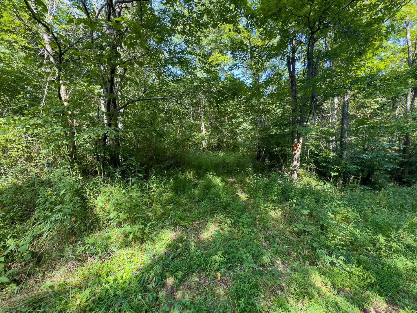 0 East Sand Ridge Road, Unit 338 Albany, OH 45710 - Photo 7 of 30 7-0 Sand Ridge Rd Ground-01