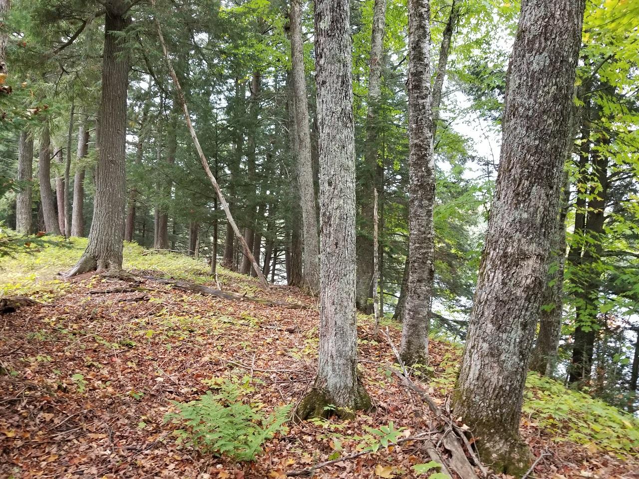 Lot 9 Stafford Point Road North Mercer, WI 54547 - Photo 25 of 28 Gallery Image 25