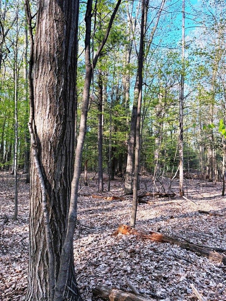 0 West Adams Road Hesperia, MI 49421 - Photo 24 of 74