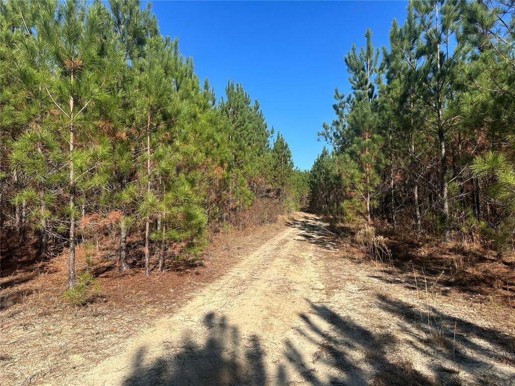 0 North Indian Trail Road Sandersville, GA 31082 - Photo 16 of 26