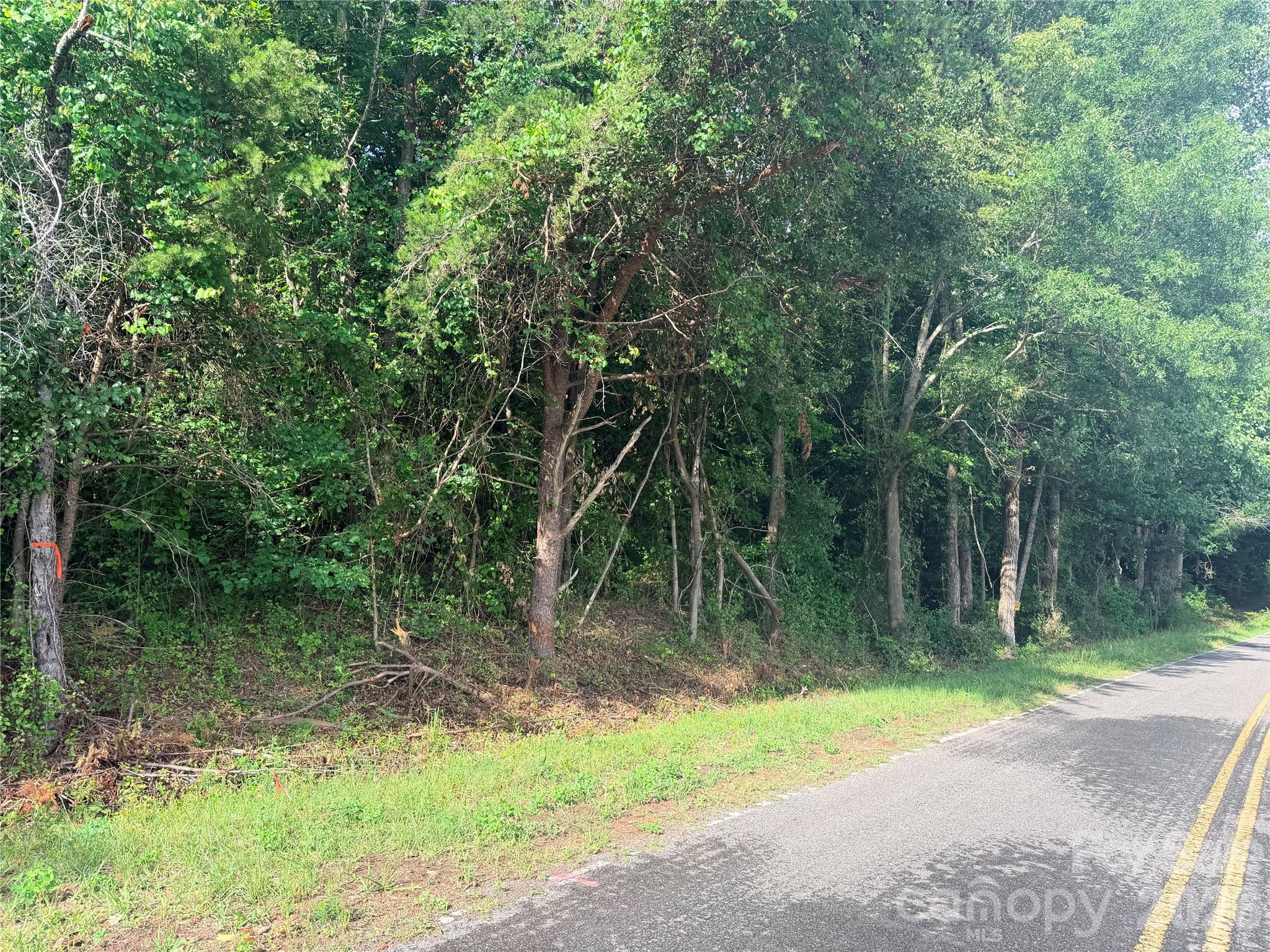 Lot 3 Schenck Farm Road Lawndale, NC 28090 - Photo 2 of 13