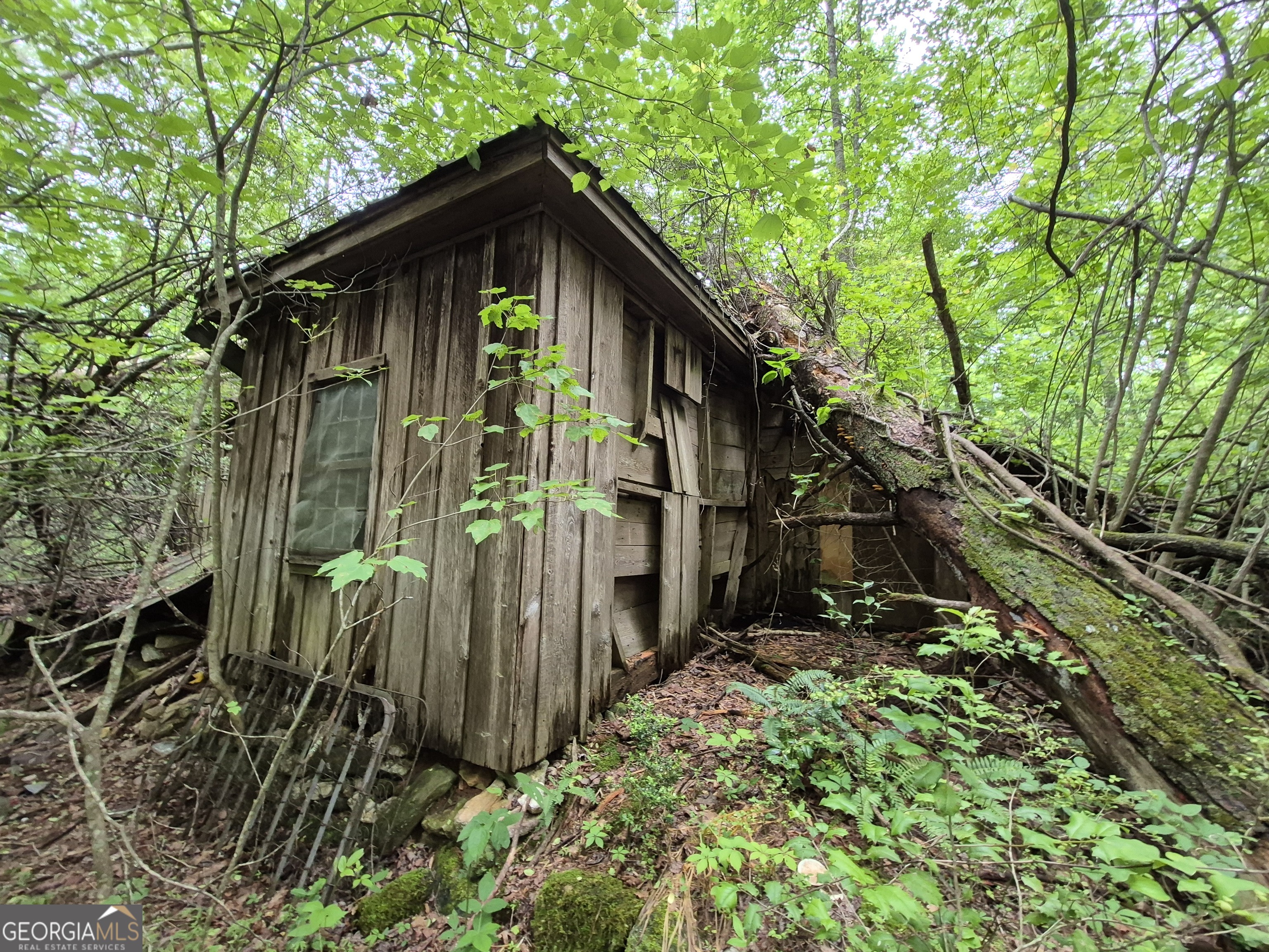 0 Hardman Road Sautee Nacoochee, GA 30571 - Photo 11 of 16