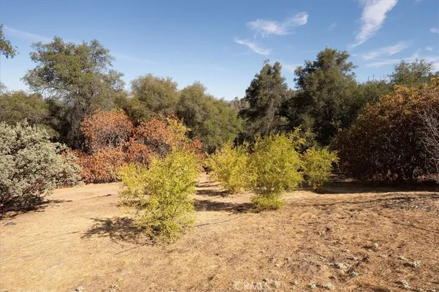 a view of yard covered with snow in outdoor space