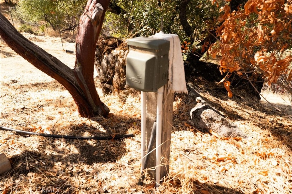 3279 Quail Run Road Mariposa, CA 95338 - Photo 19 of 41 a view of a tree with an outdoor space