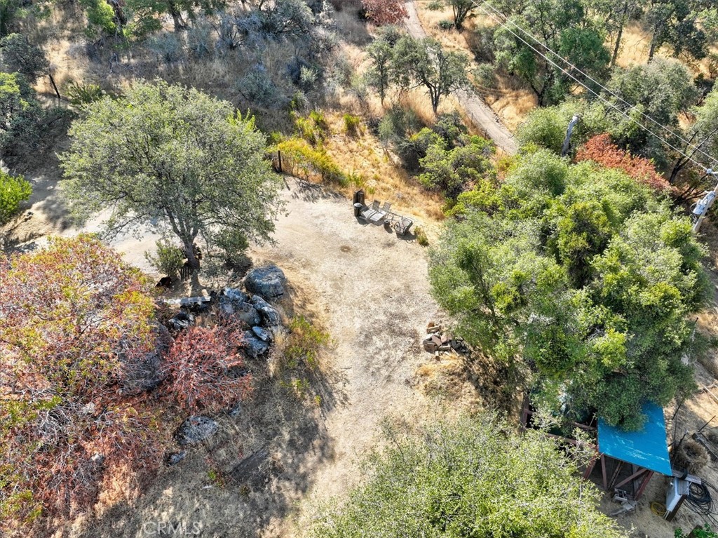 3279 Quail Run Road Mariposa, CA 95338 - Photo 21 of 41 a view of a tree in a yard